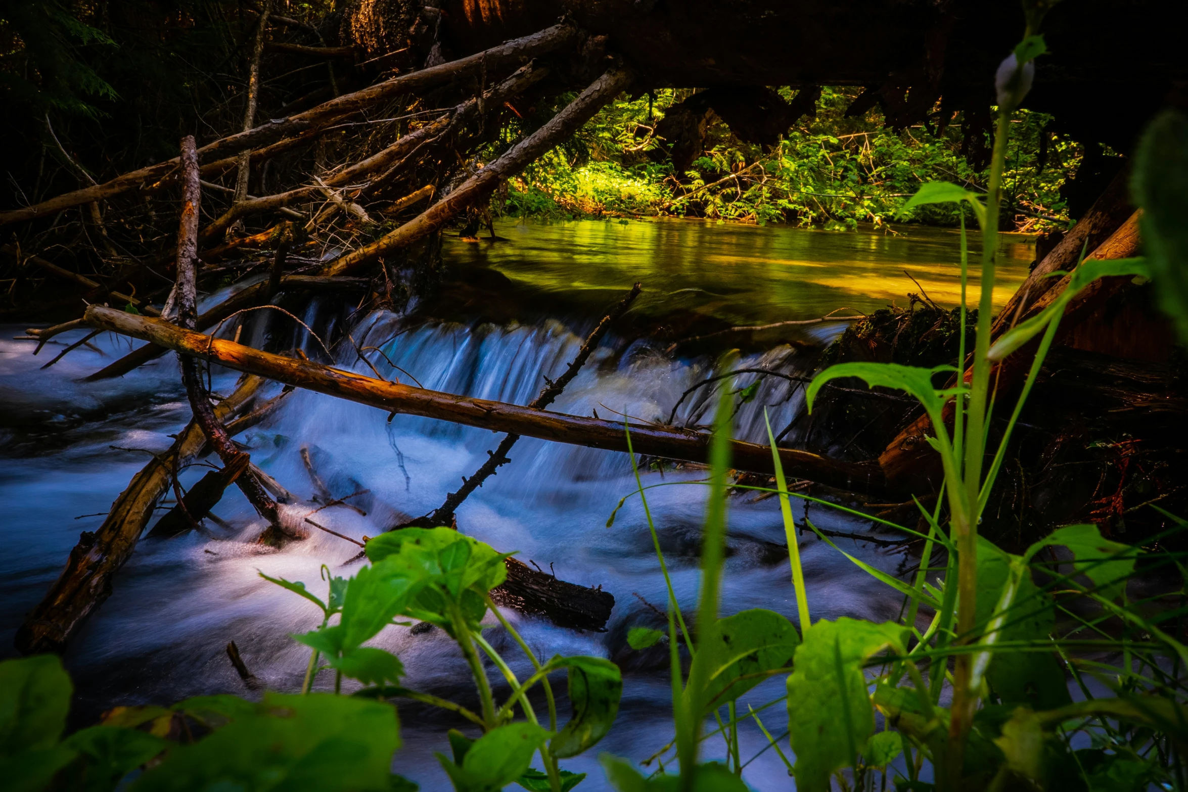 a waterfall is shown flowing over the leaves