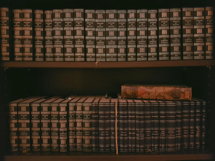 several shelves with many books, including some brown and gold