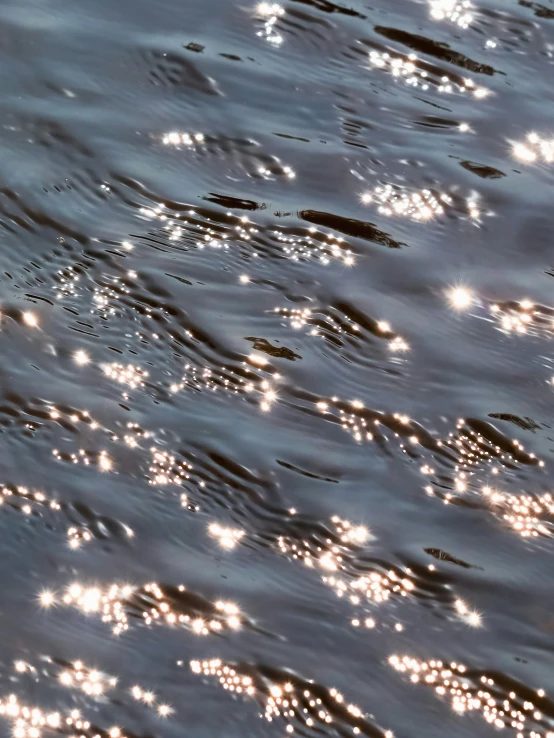 small dots are seen on the water surface