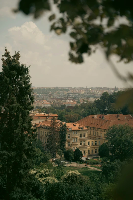 the city from the hill side, including many trees