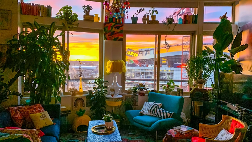 a room with several plants on the walls, couches, and two windows