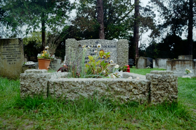 an image of a grassy cemetery with graves