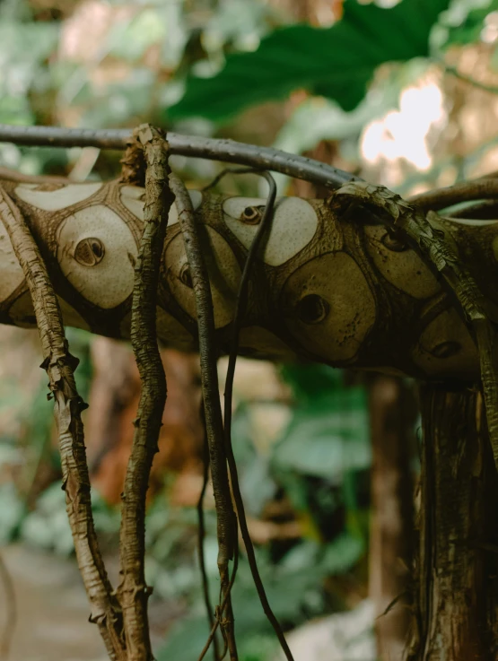 an old fashioned bicycle that is hanging on the side of a tree