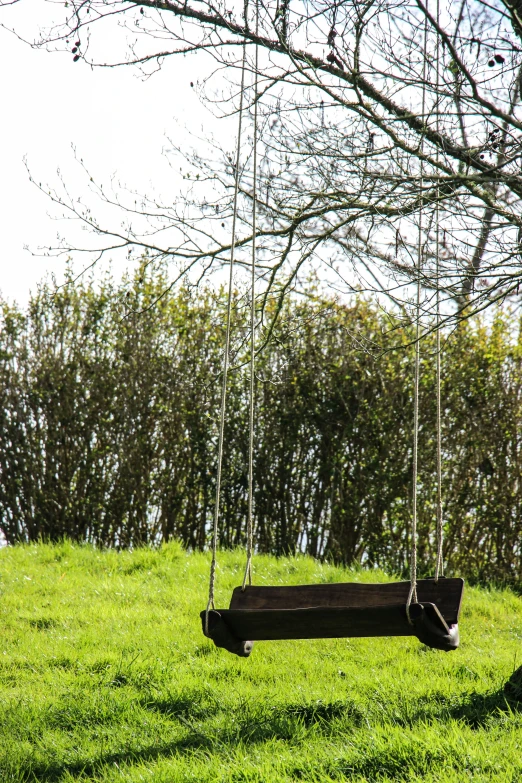 a wooden bench is suspended from a rope in a green park