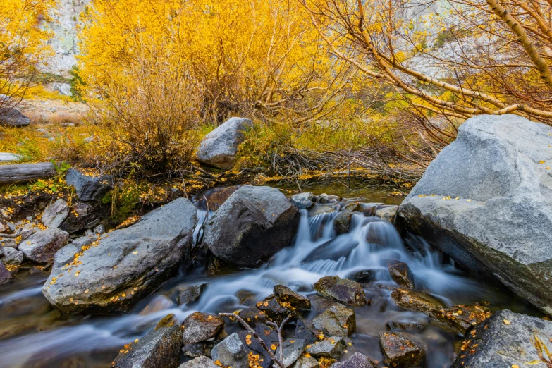 this is a stream flowing between some rocks