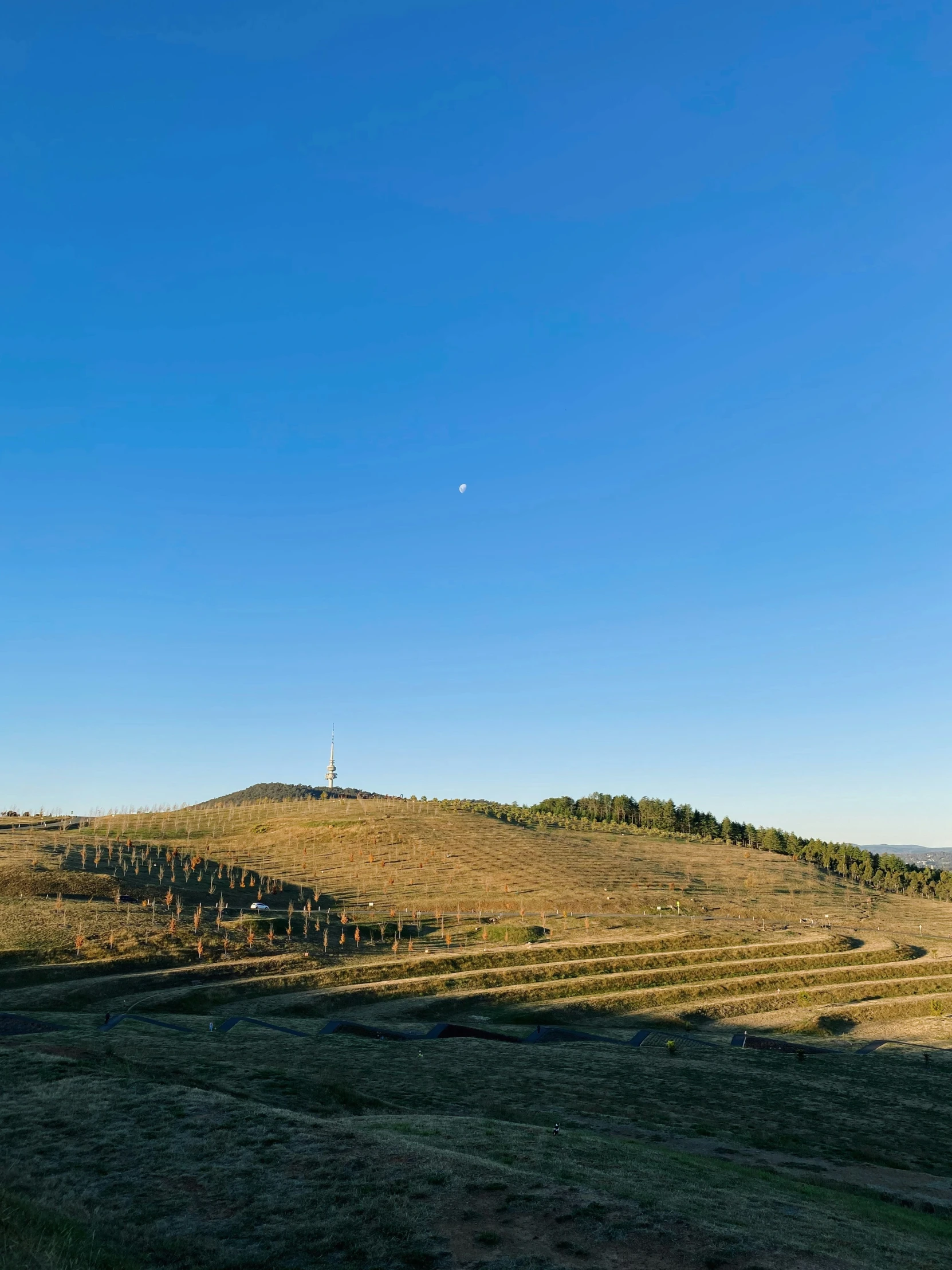 a field on top of a hill with a clear blue sky