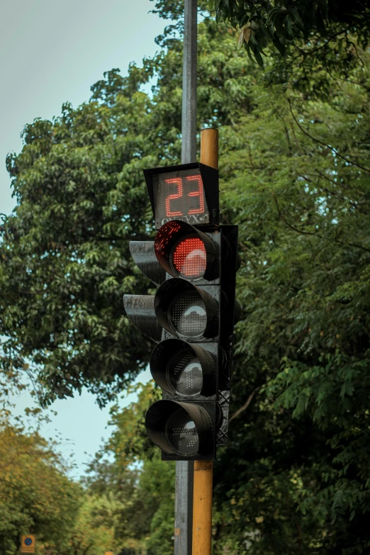 this traffic light displays the time for go to the road