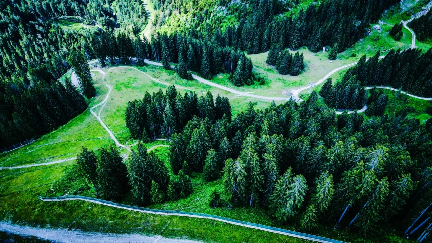 aerial view of a beautiful countryside with trees, roads and a winding road through the forest