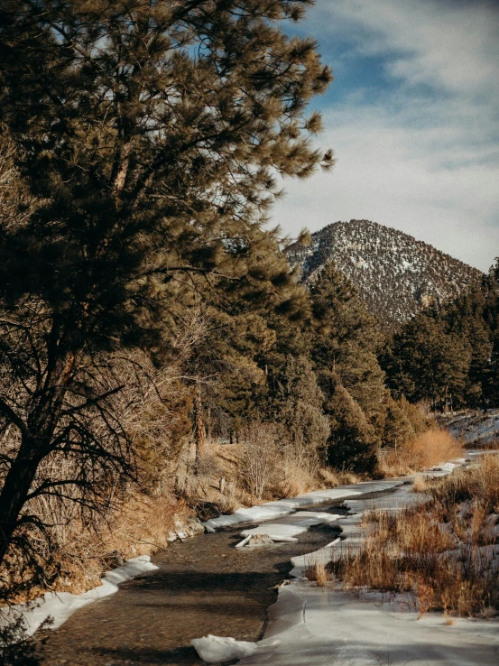 a snowy mountain side forest and road leading to it