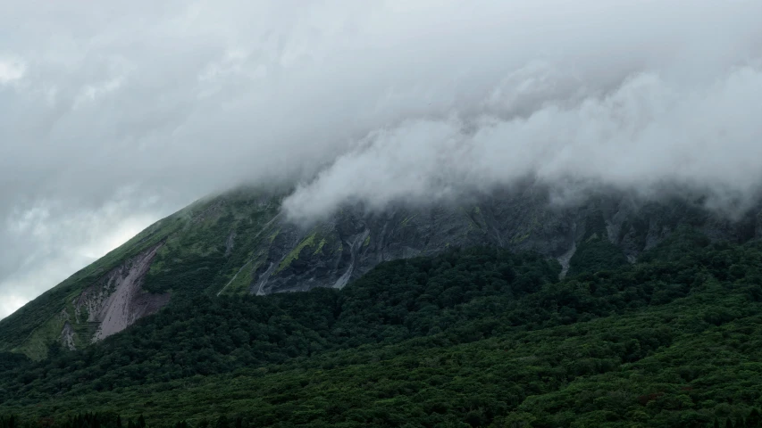 a lush green forest sitting next to a tall mountain