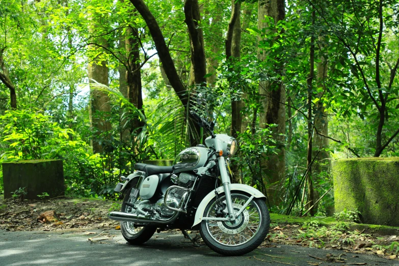 a motorcycle parked in the middle of a wooded area