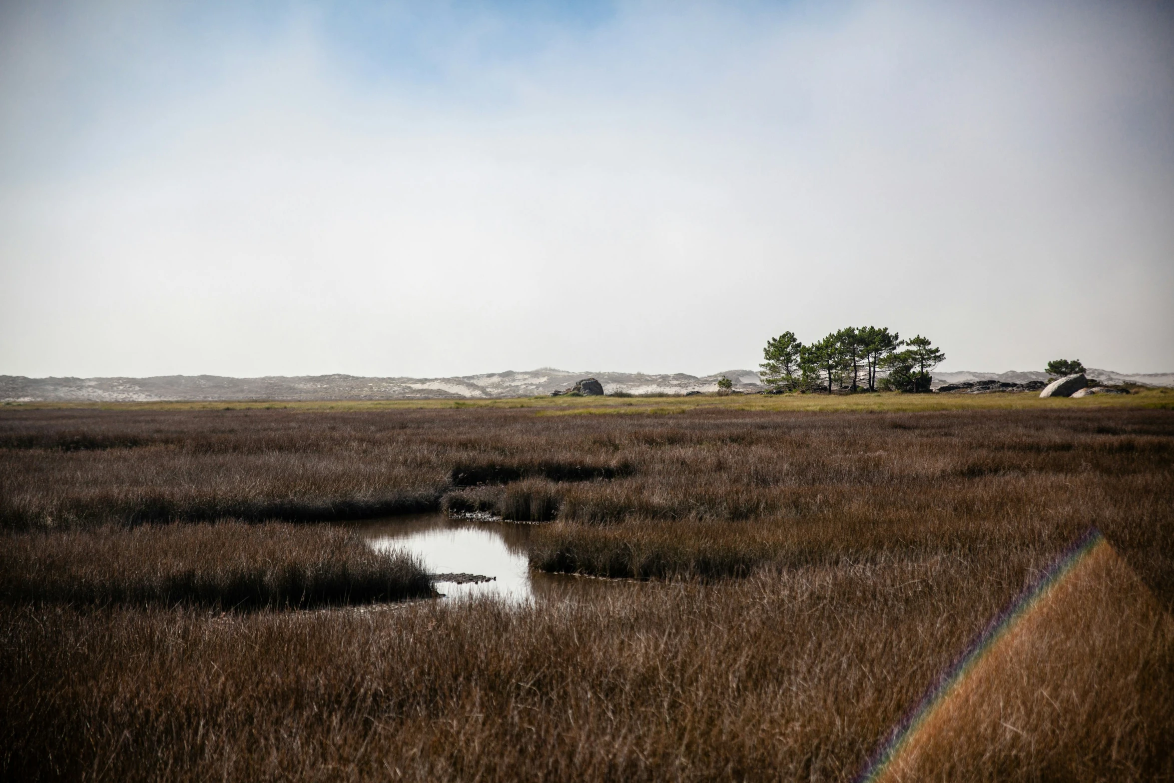 a large grassy field with a lake near it