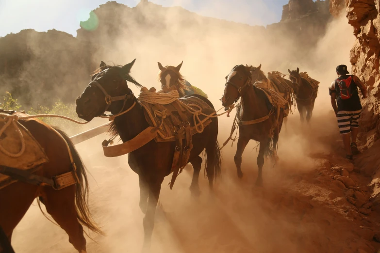 three horses are pulling two people behind them