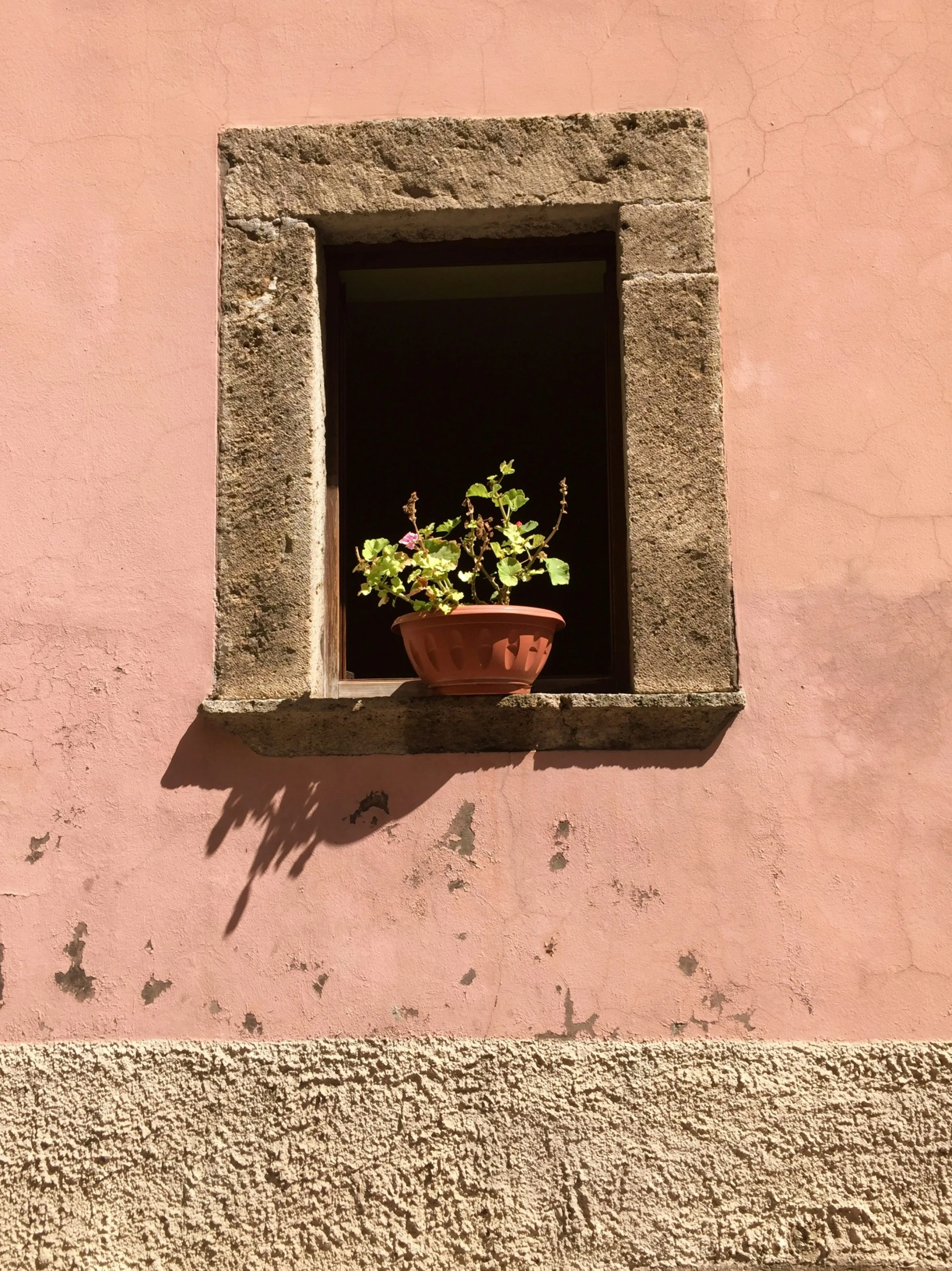 a potted plant is on the ledge of an empty window