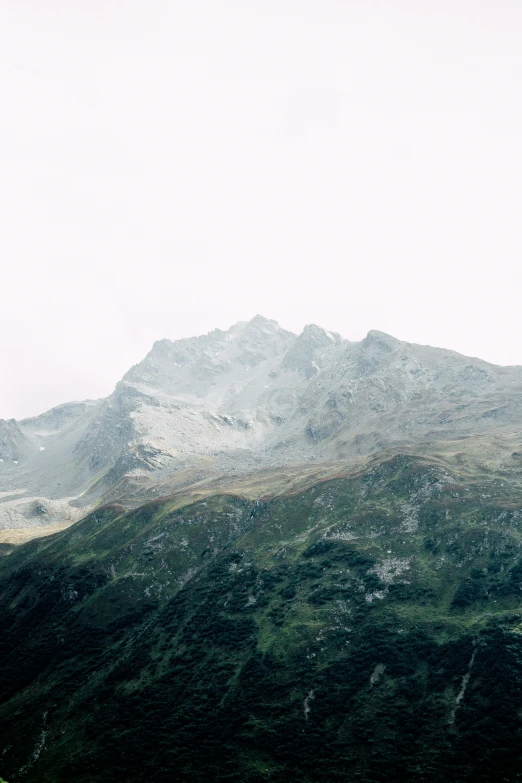 mountain view with tree tops covered in snow