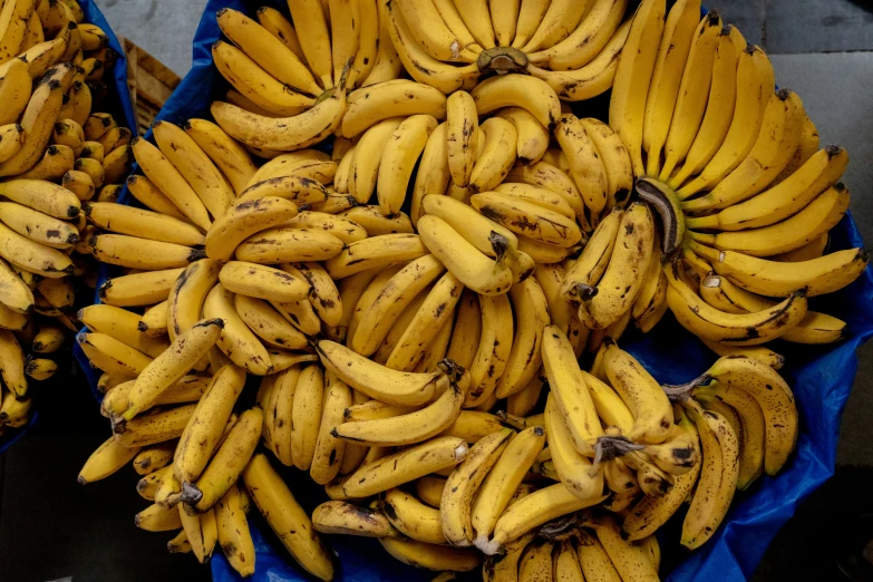 a couple of bunches of bananas sitting on a table