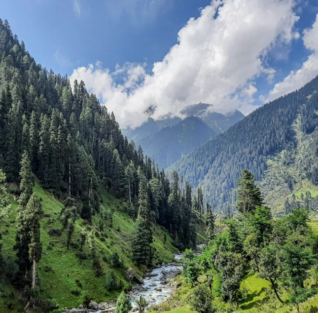 the view of mountains, water and trees is very scenic