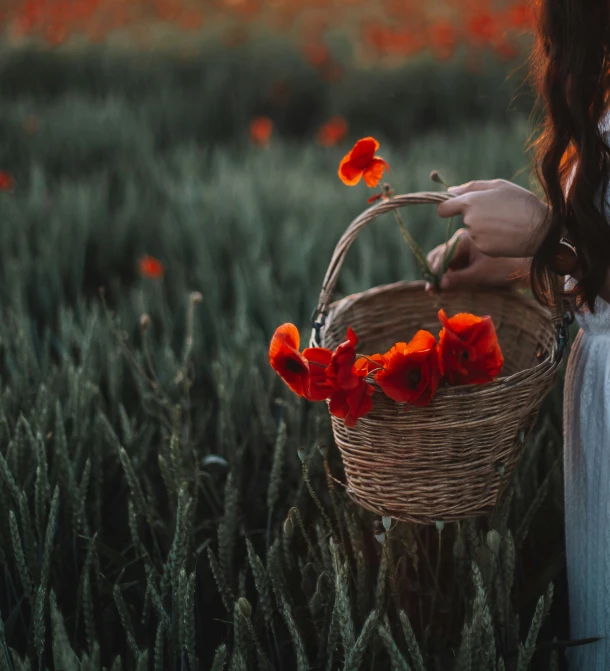 a girl is standing in a field with some red flowers