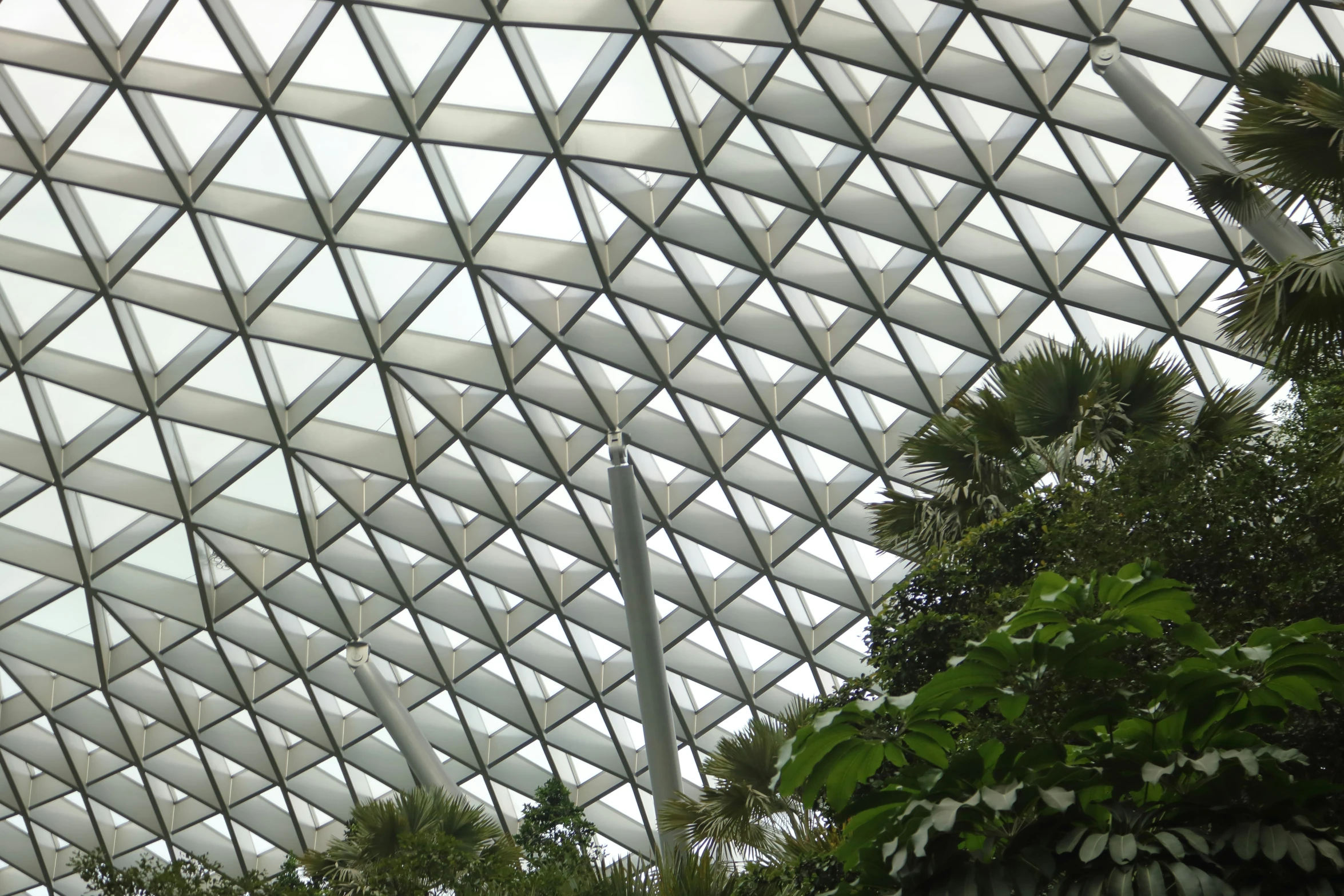 a large roof structure with several windows in a tree area