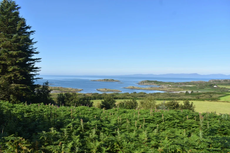 the view out on the water from the top of the hill