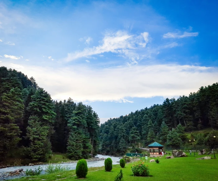 people stand and talk in the green field by a river