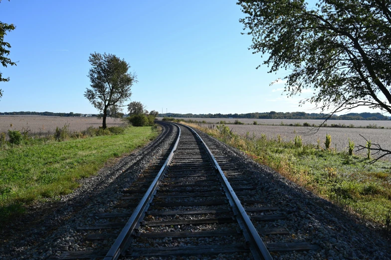 railroad tracks in grassy area with trees and sky