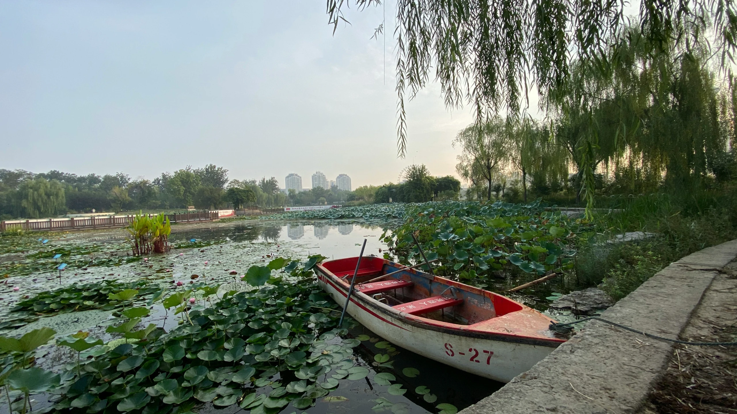 a small row boat parked on the side of a river