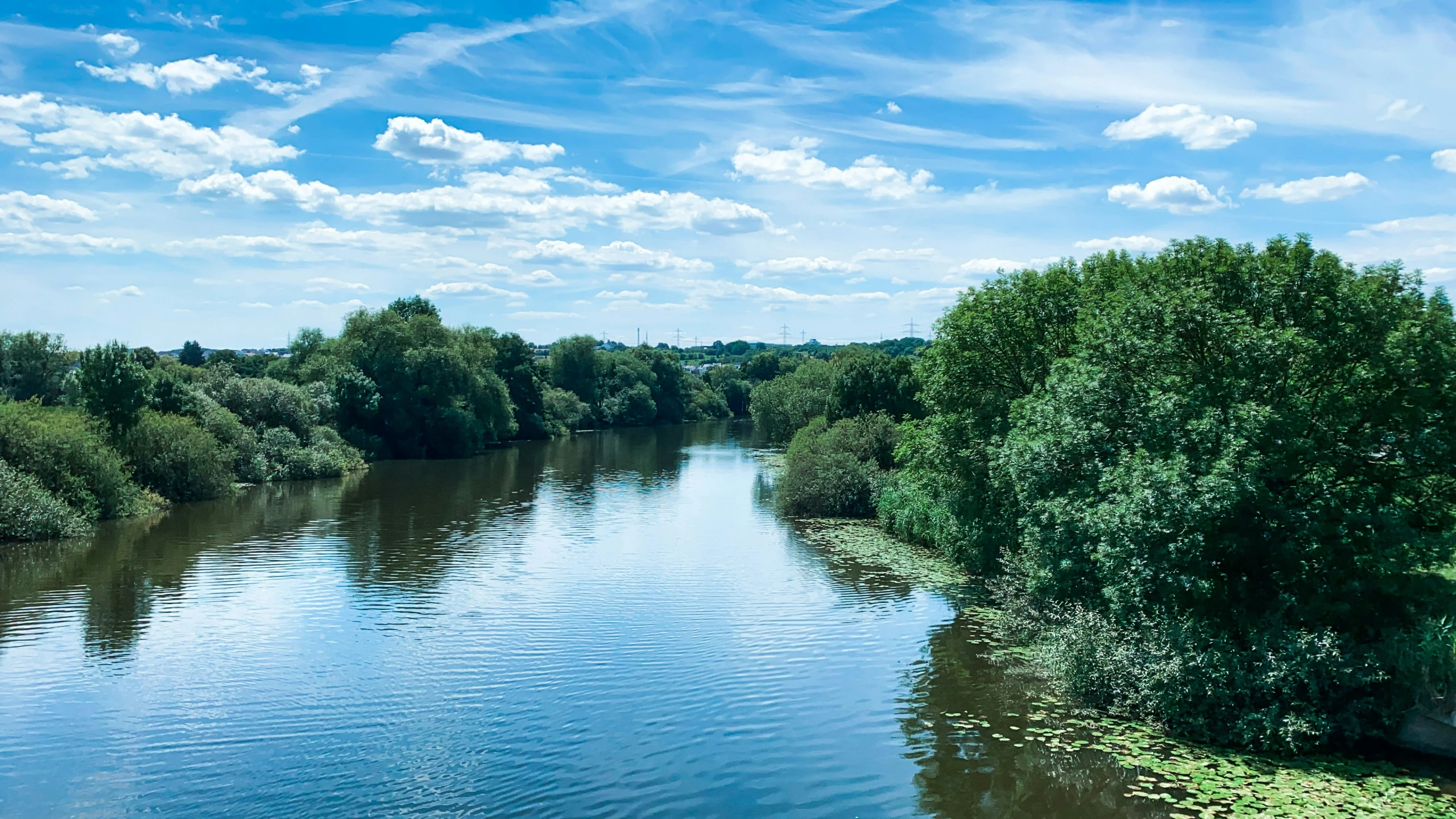 a river with some very pretty trees around it