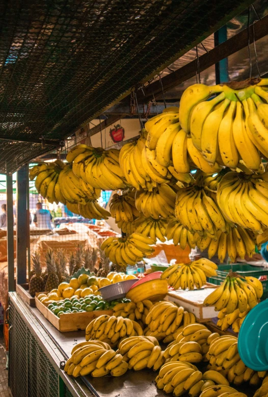 a stand with bananas hanging from it next to other bananas