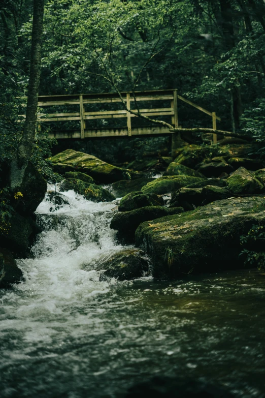 a small bridge over a small river with mossy rocks