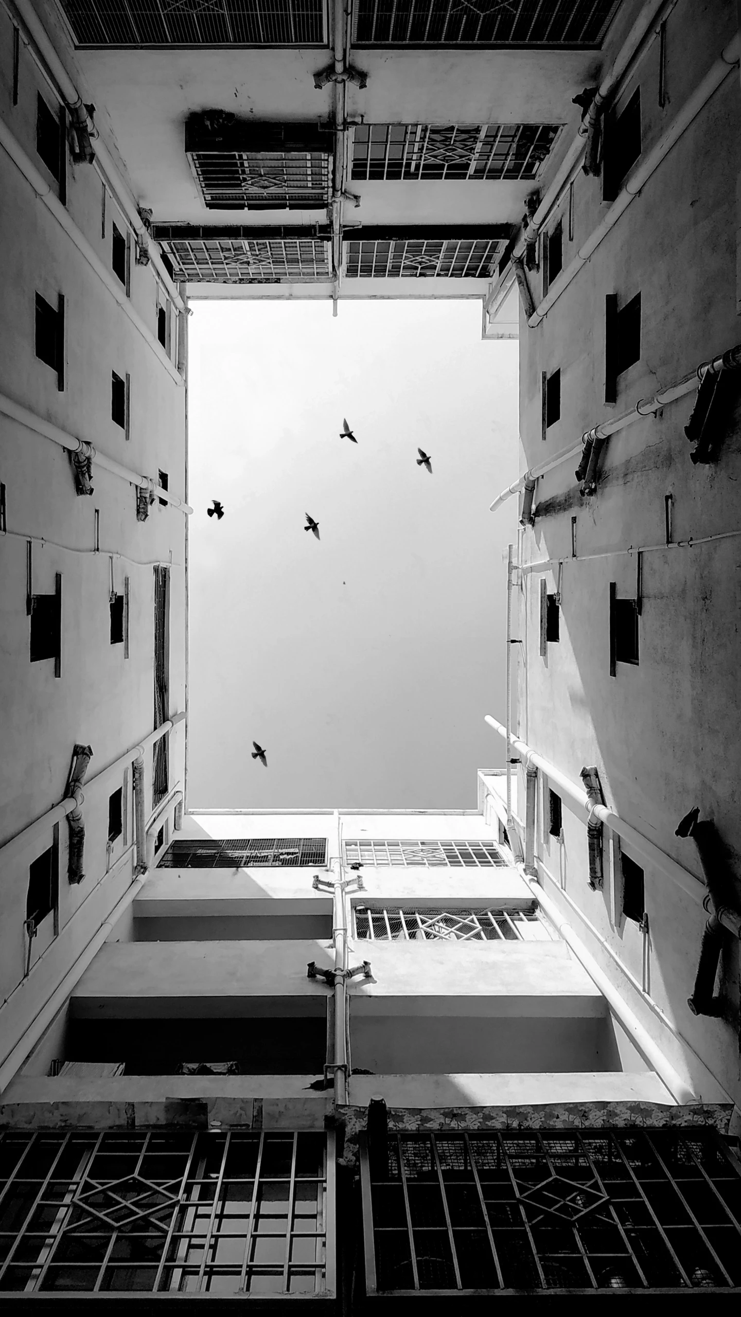 a group of birds flying around a large building