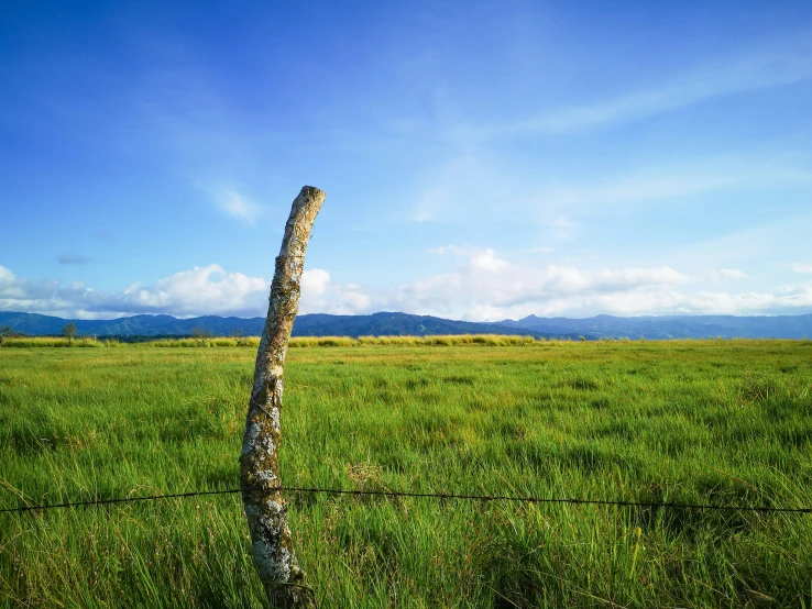 a pole leaning on it's side while standing in the grass