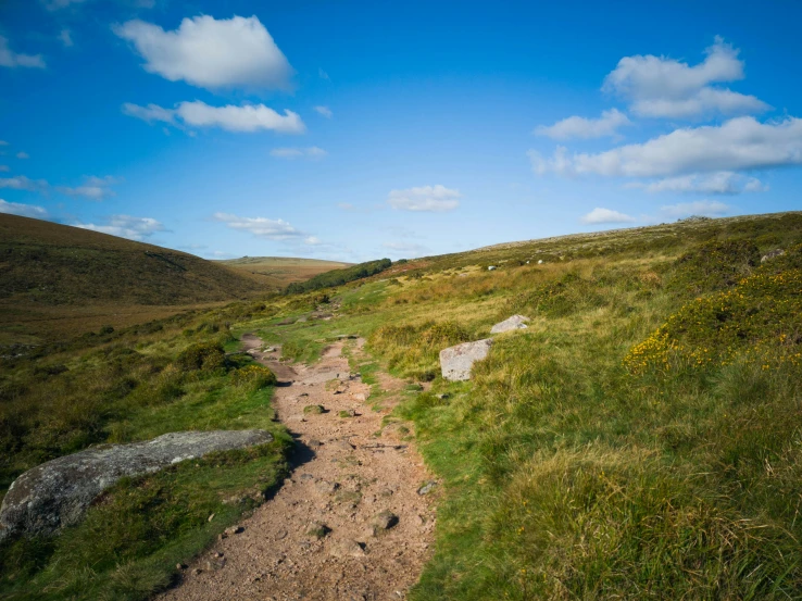 a dirt trail leading up a lush green hillside