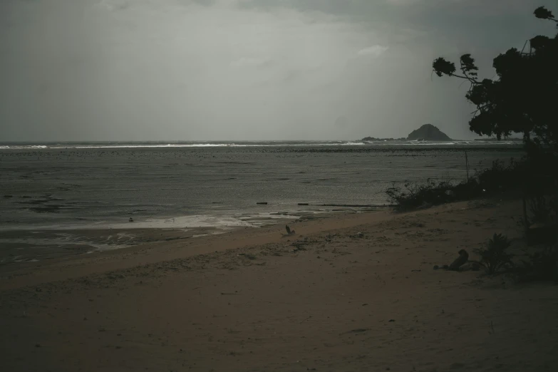 the po shows a lone man with an umbrella at the beach