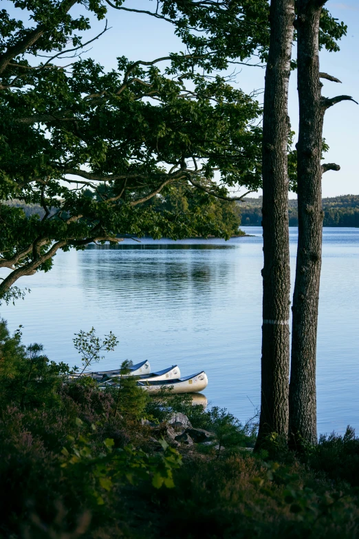 a calm body of water with two canoes in it