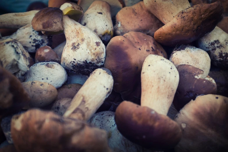 many small brown mushrooms are sitting on a table