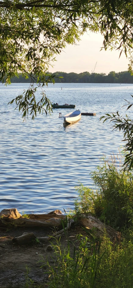 two boats in the water under some trees