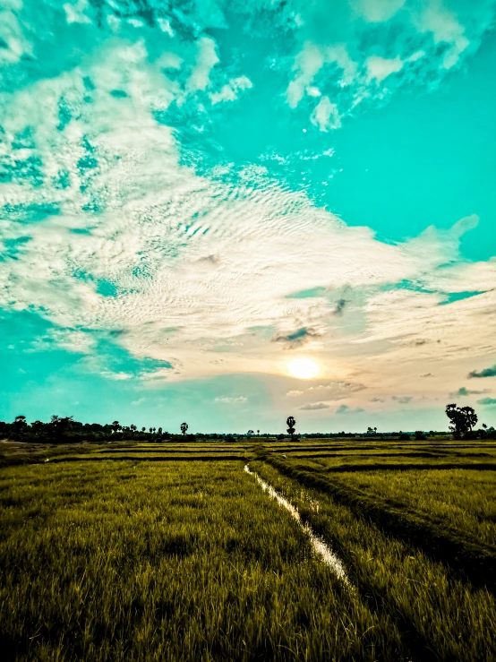 a green field with tracks through it in the middle of the evening