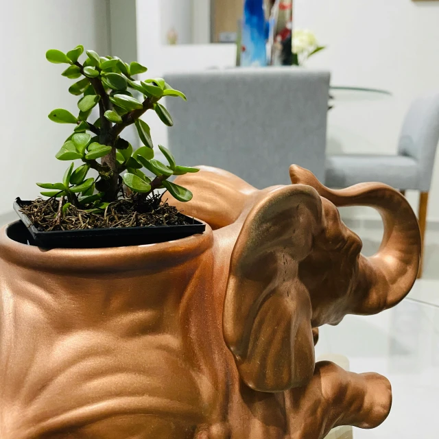 this is an elephant planter on a table