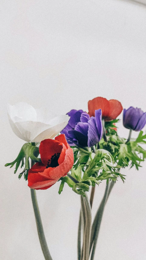 a vase holding a bouquet of colorful flowers