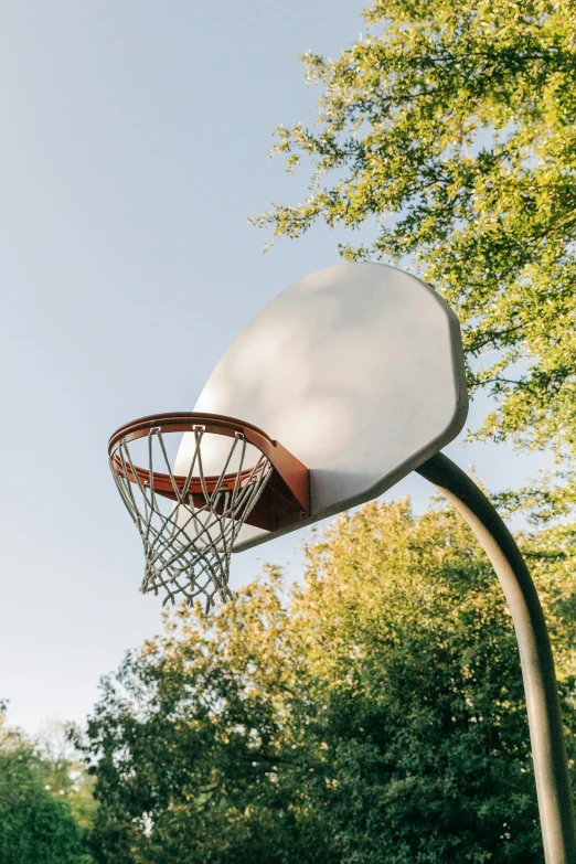 basketball hoop against treetops during day