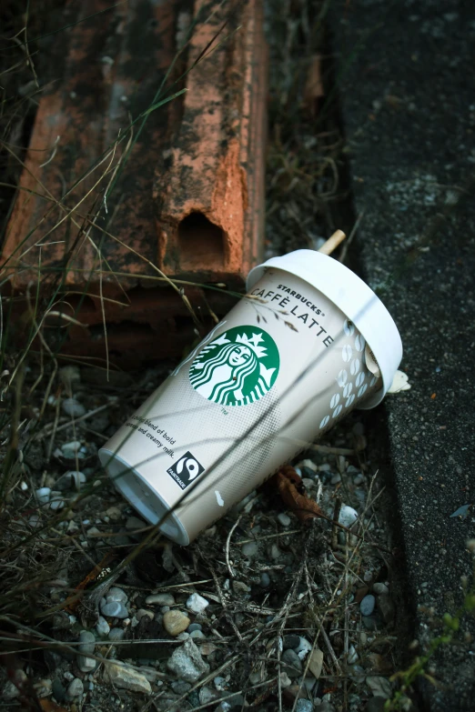 broken starbucks cup on top of a rotten tree nch