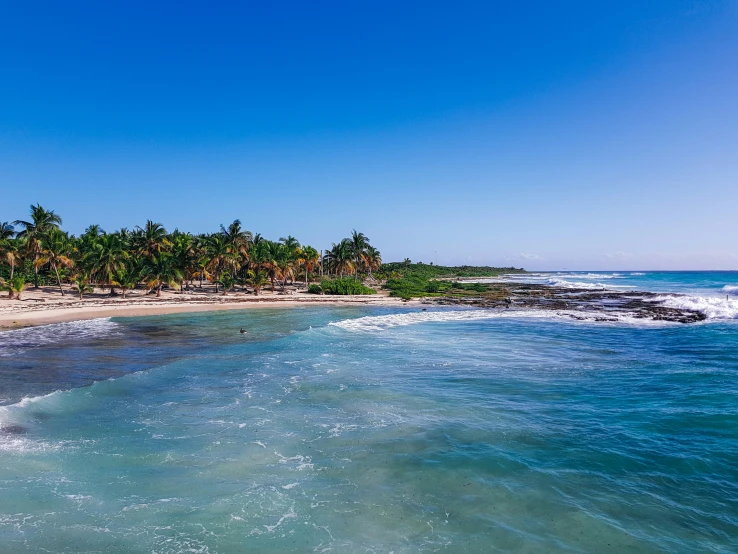 a sandy beach near a body of water with palm trees