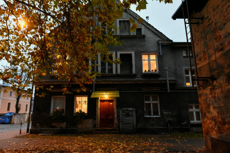 a leafy sidewalk next to a building at night