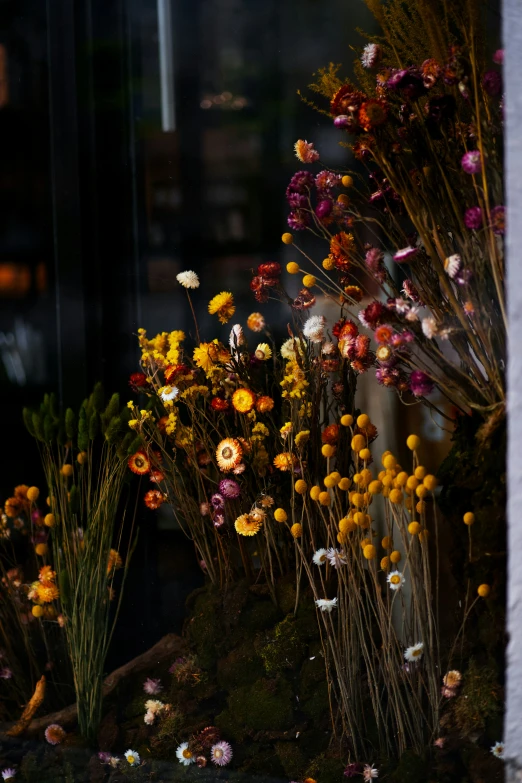 a pile of assorted flowers in front of a window