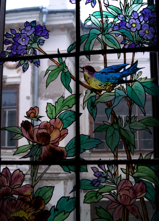 colorful flower and bird window view from a house