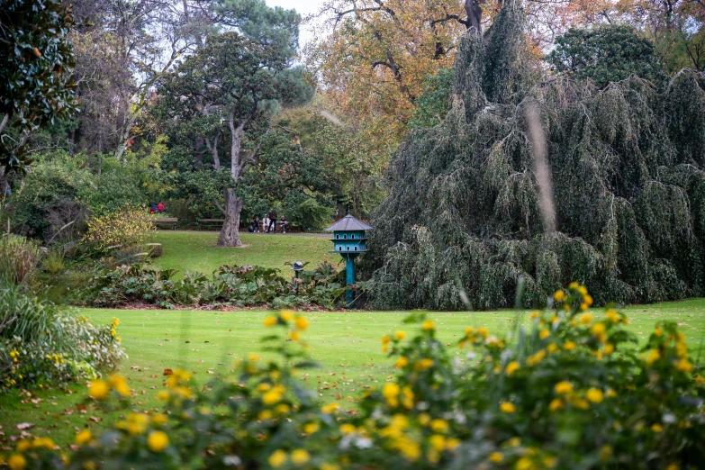 a group of people walking around a lush green park