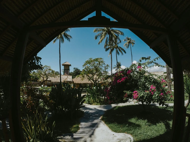 an outside walkway leads through a large garden