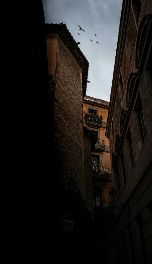 the street below a very tall building has birds flying