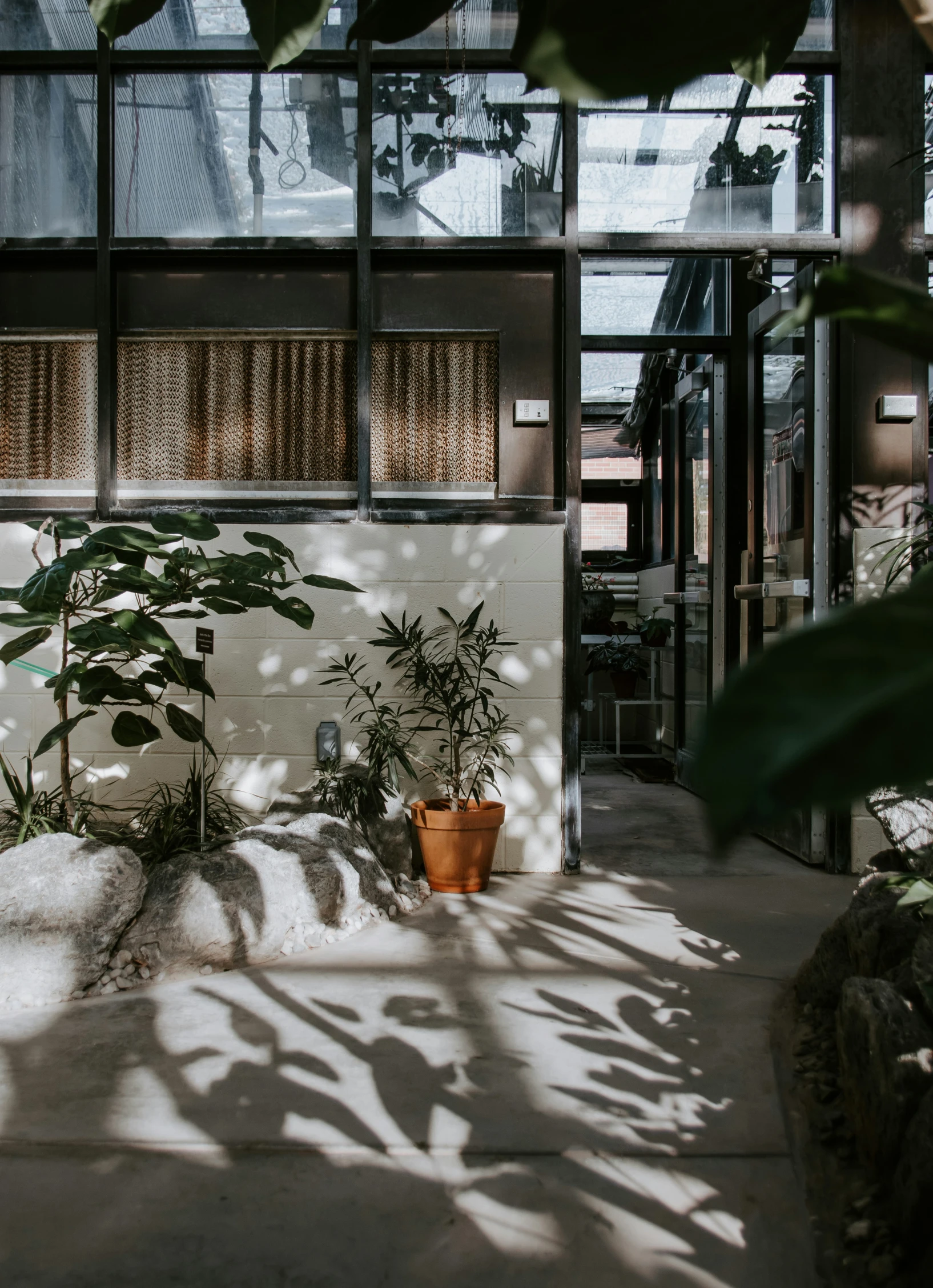 an enclosed area with plants and pots in front